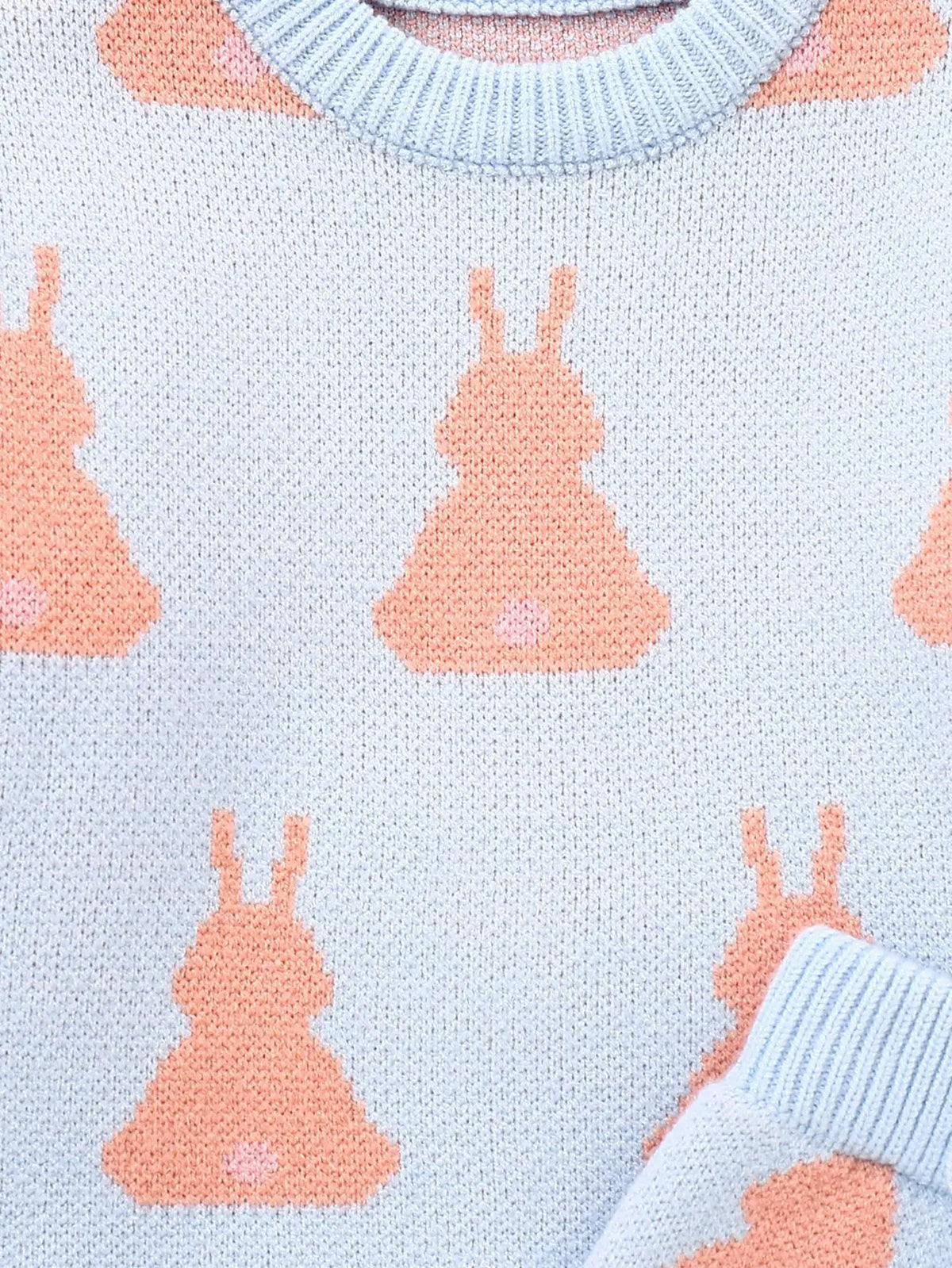 Bunny Knit Short Set